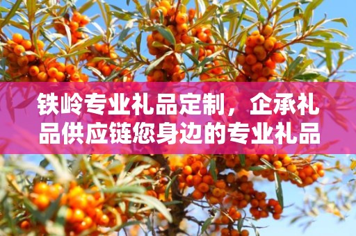 铁岭专业礼品定制，企承礼品供应链您身边的专业礼品定制公司